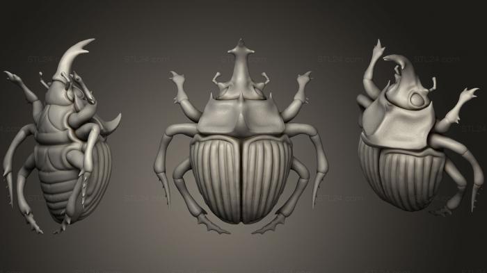 Insects (Beetle, INSCT_0035) 3D models for cnc